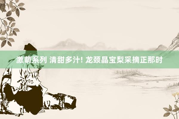 激萌系列 清甜多汁! 龙颈晶宝梨采摘正那时