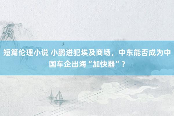 短篇伦理小说 小鹏进犯埃及商场，中东能否成为中国车企出海“加快器”？