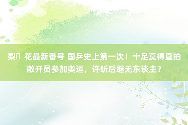 梨々花最新番号 国乒史上第一次！十足莫得直拍敞开员参加奥运，许昕后继无东谈主？