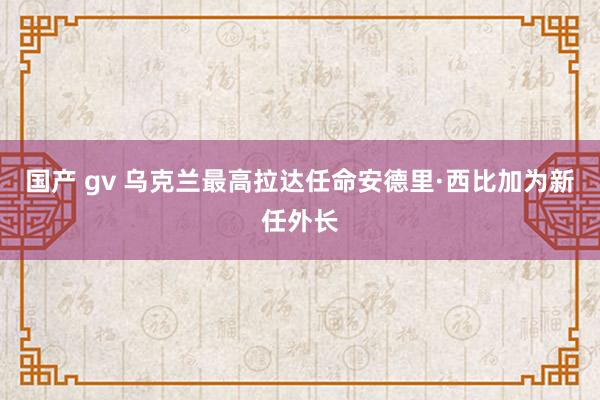 国产 gv 乌克兰最高拉达任命安德里·西比加为新任外长