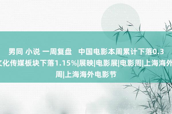 男同 小说 一周复盘   中国电影本周累计下落0.31%，文化传媒板块下落1.15%|展映|电影展|电影周|上海海外电影节