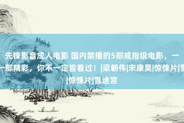 先锋影音成人电影 国内禁播的5部戒指级电影，一部比一部精彩，你不一定皆看过！|梁朝伟|宋康昊|惊悚片|雪迷宫