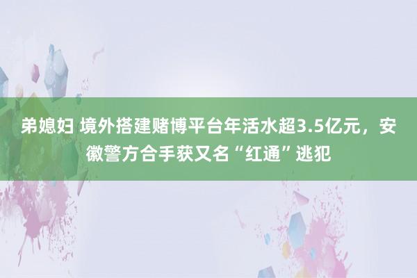 弟媳妇 境外搭建赌博平台年活水超3.5亿元，安徽警方合手获又名“红通”逃犯