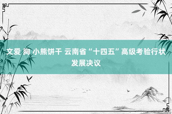 文爱 胸 小熊饼干 云南省“十四五”高级考验行状发展决议