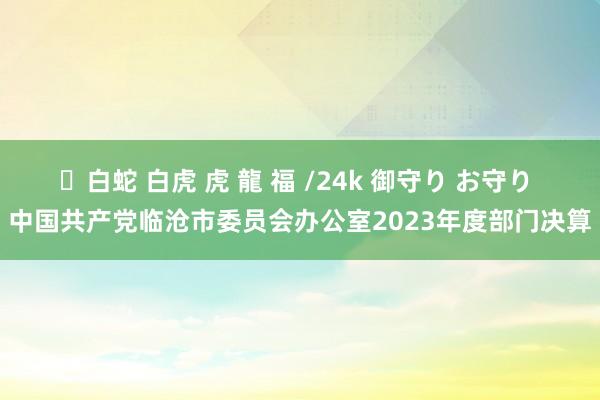 ✨白蛇 白虎 虎 龍 福 /24k 御守り お守り 中国共产党临沧市委员会办公室2023年度部门决算